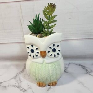 Ceramic Owl Planter with Faux Succulents - Cute Animal Home Decor